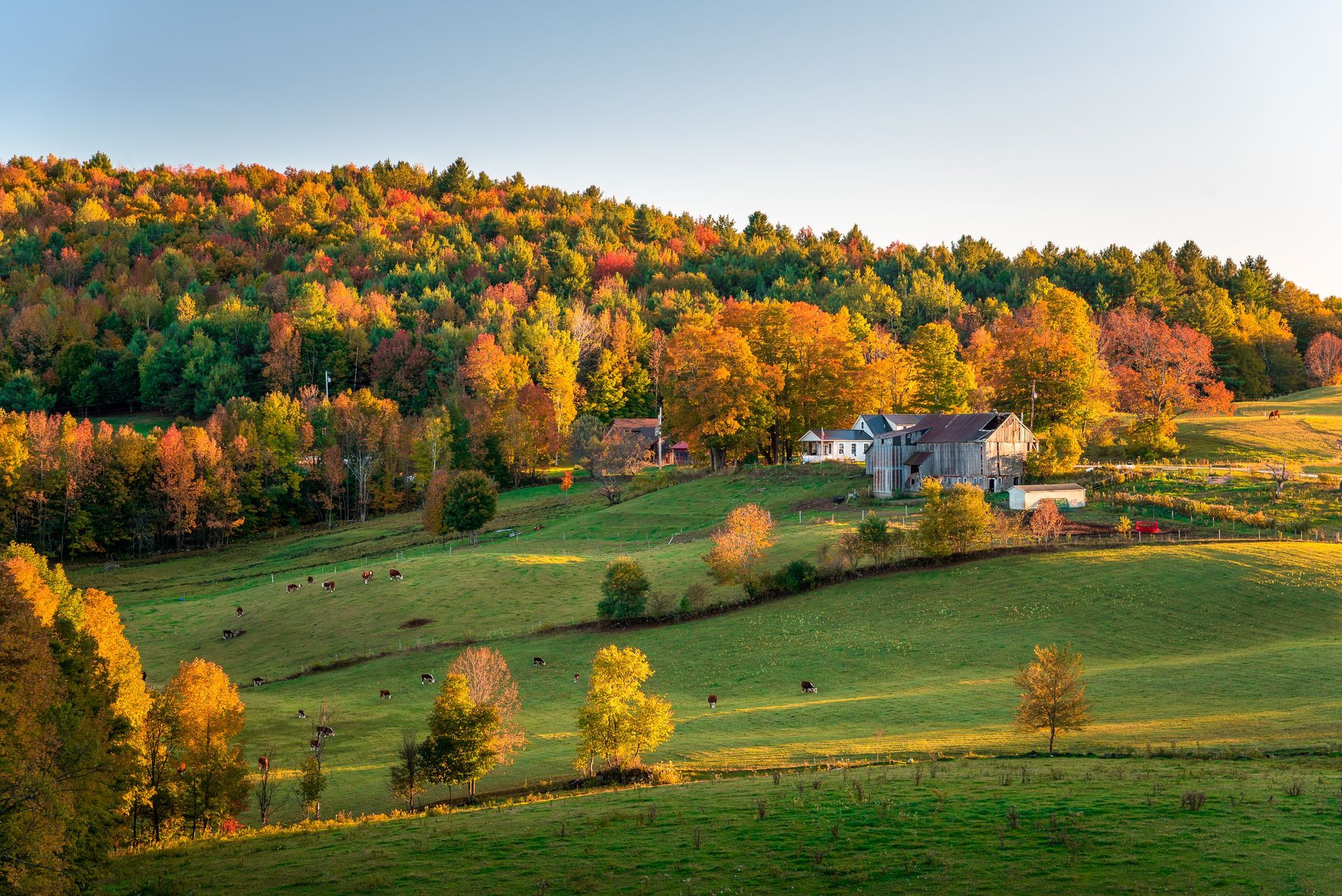 There is a house in the middle of a field with trees in the background.