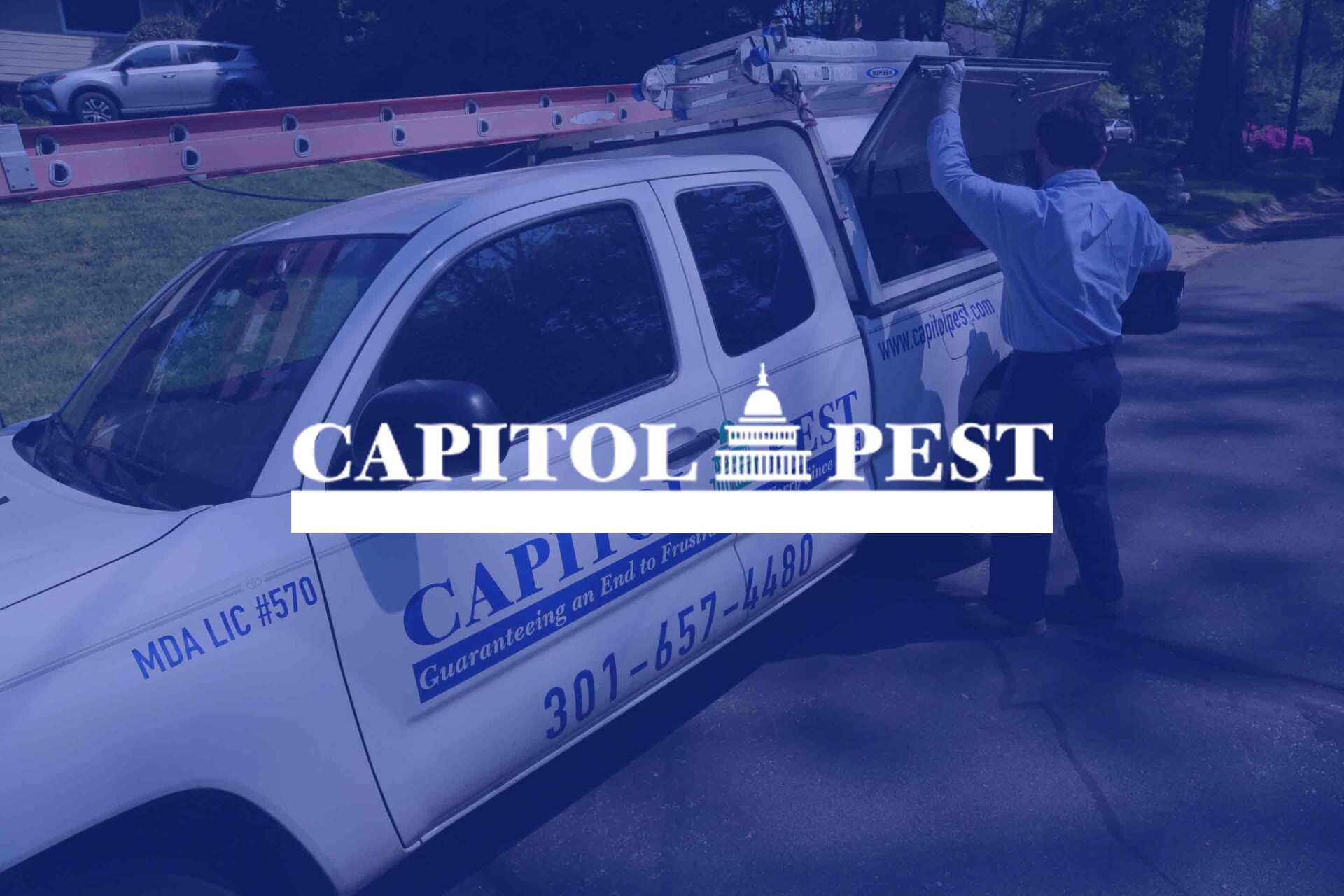 Pest Control Digital Marketing Beholder Agency