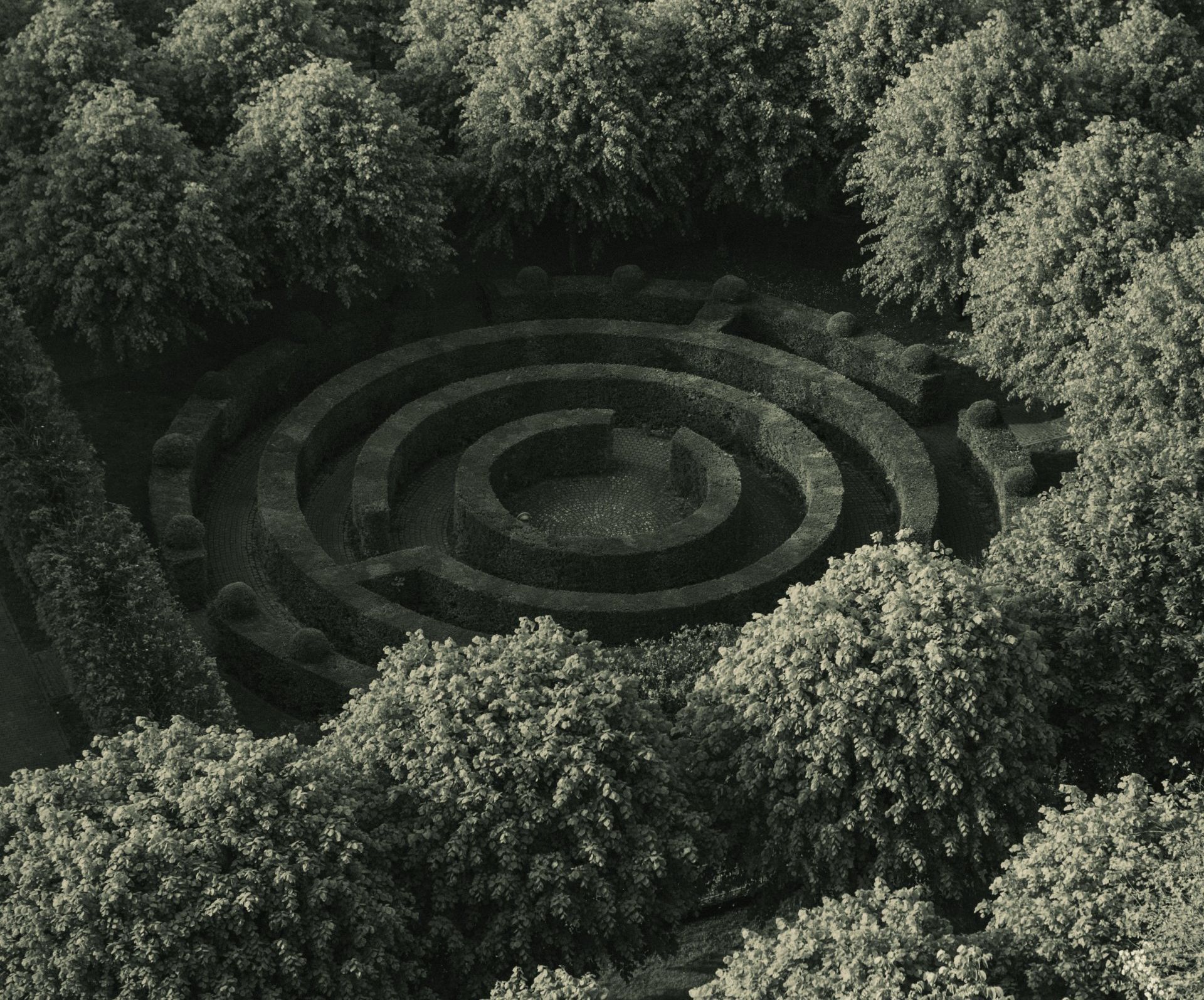 an aerial view of a circular maze surrounded by trees