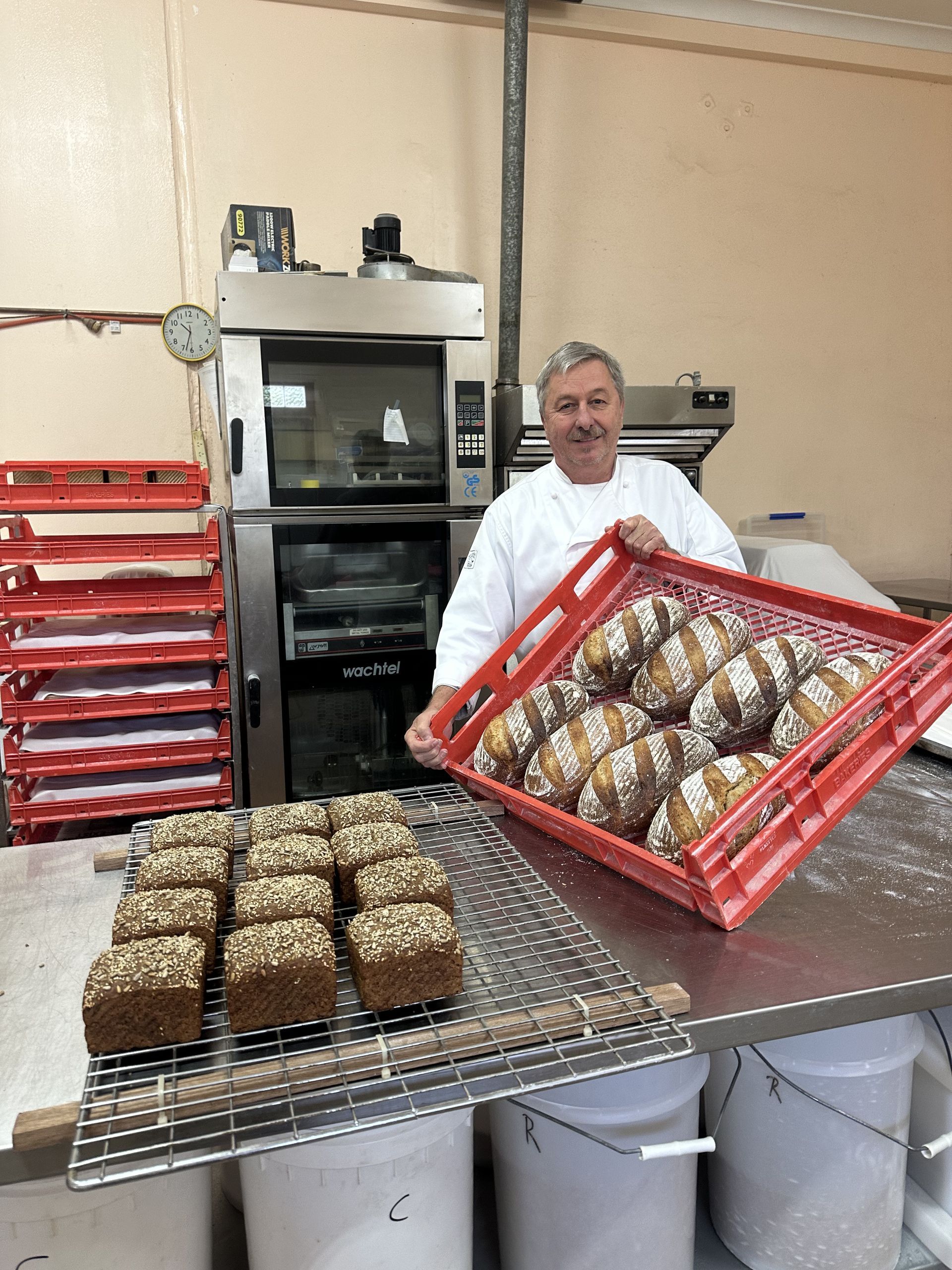 A Variety of Meats and Vegetables on A White Background — Mentges Master Meats Traditional Continental Smallgoods In Taree, NSW