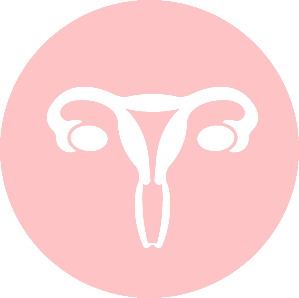 Icona - sistema riproduttivo femminile
