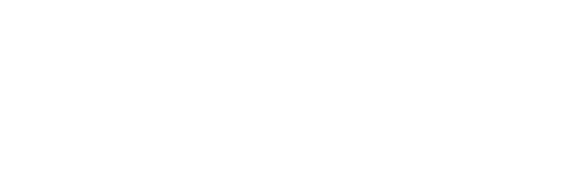 VigiLife logo.