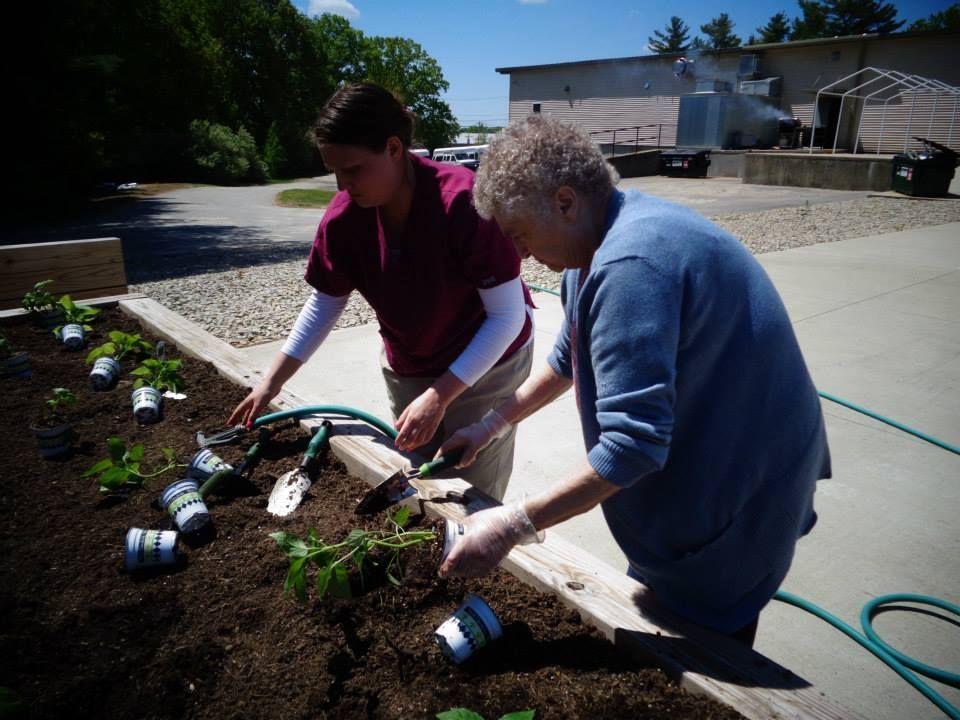 A group of older men are holding hands in a park.