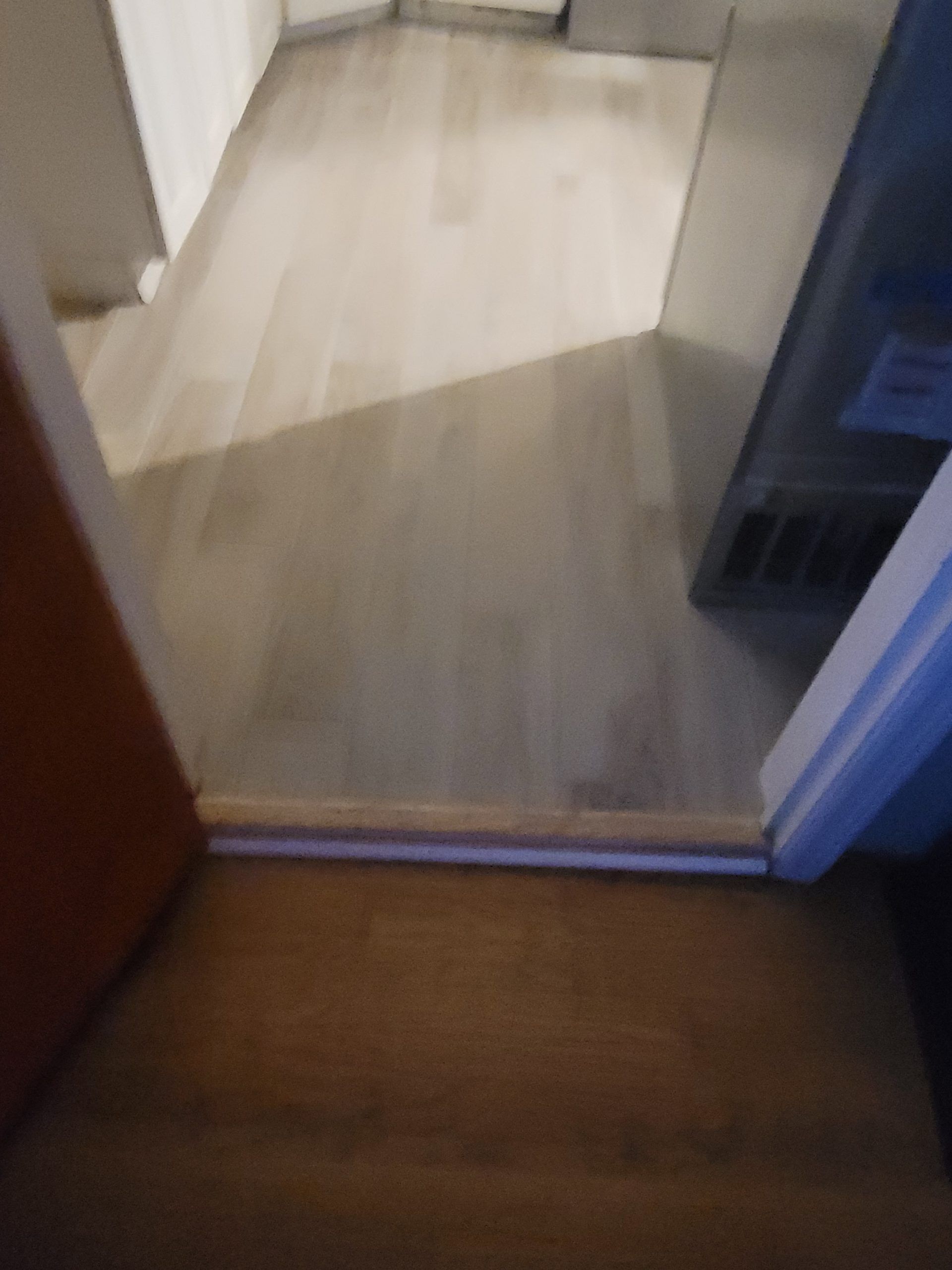 View from a doorway: light wooden floor transitions to a darker wooden step.