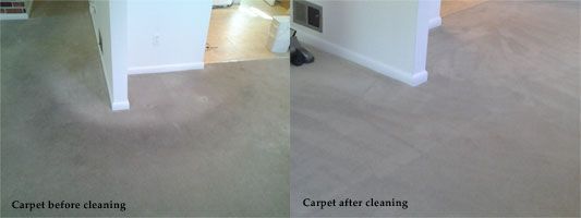 carpet cleaning sample