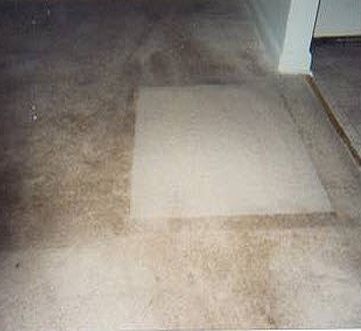 carpet cleaning test