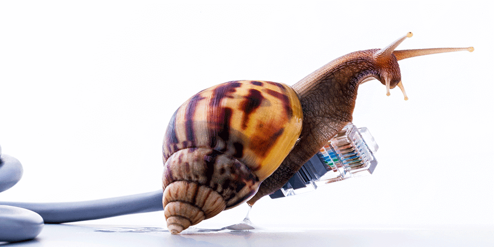 The Importance of a Quick Website Load Speed