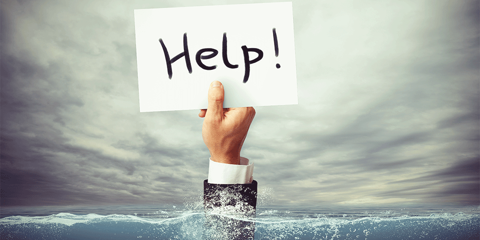 Fight, flight or freeze. How to keep moving forward during a crisis.