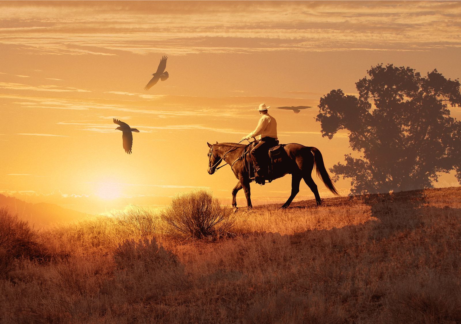 A man is riding a horse in a field at sunset.