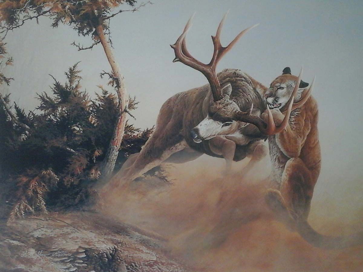 A painting of a deer being attacked by a mountain lion