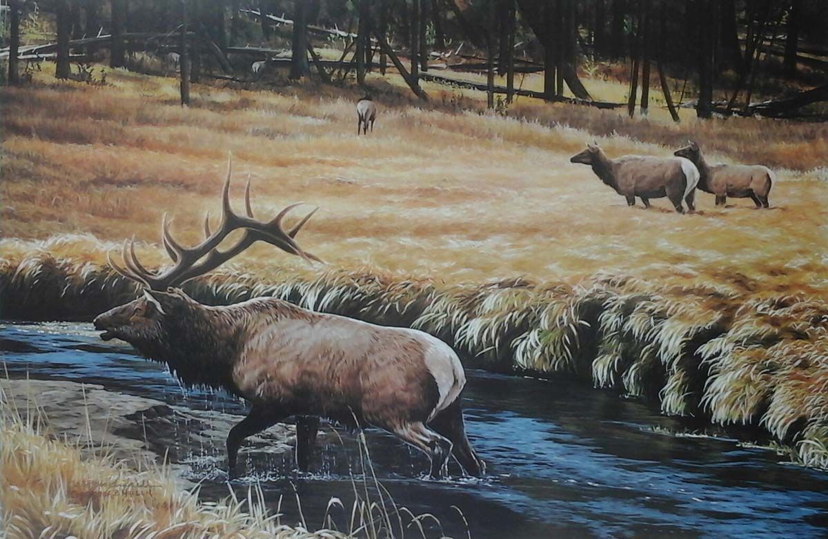 A painting of a herd of elk crossing a stream