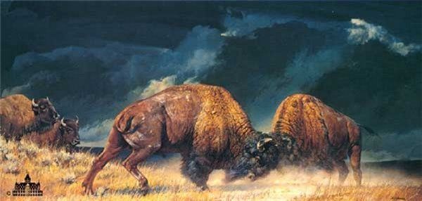 A painting of two bison fighting in a field