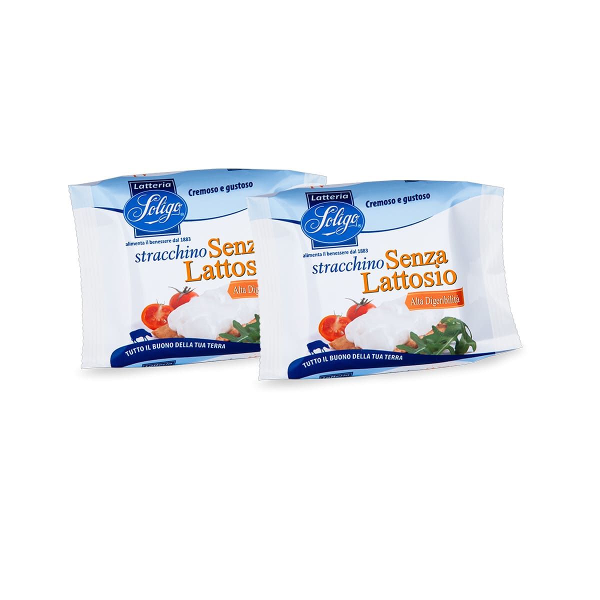 Soligo stracchino senza lattosio - La Riminese Alimentari