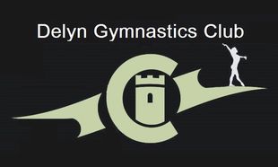 Delyn Gymnastics Club logo