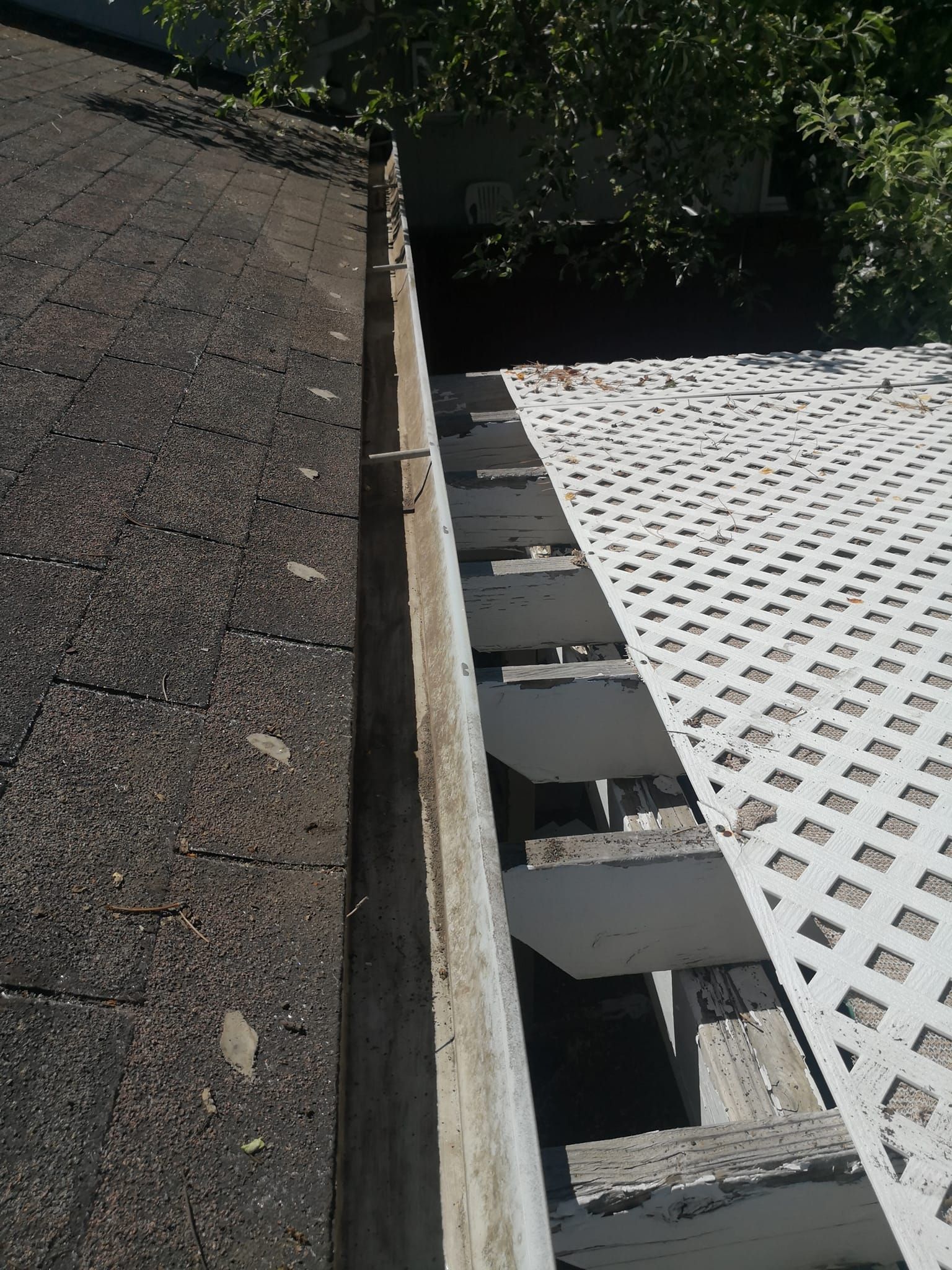 A gutter sits between a shingled roof and a white lattice patio cover.