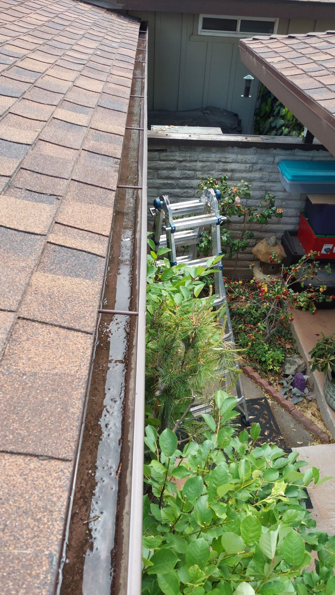 A close-up, high-angle view looking down at a roof gutter filled with wet soil and debris, next to a backyard garden.
