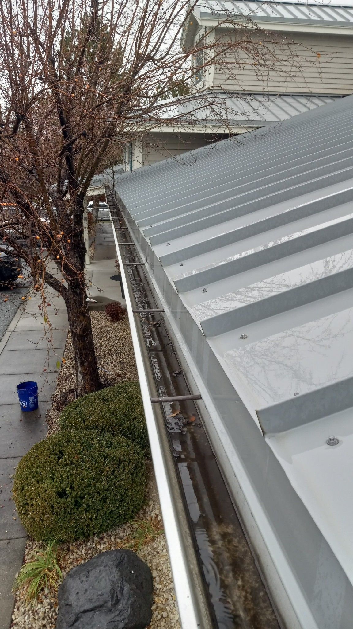 A metal roof with an attached gutter, viewed from above, with a tree, shrubs, and a blue bucket in the background.