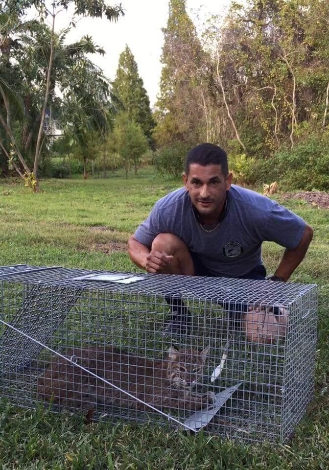 A man is kneeling next to a cage with a cat in it.