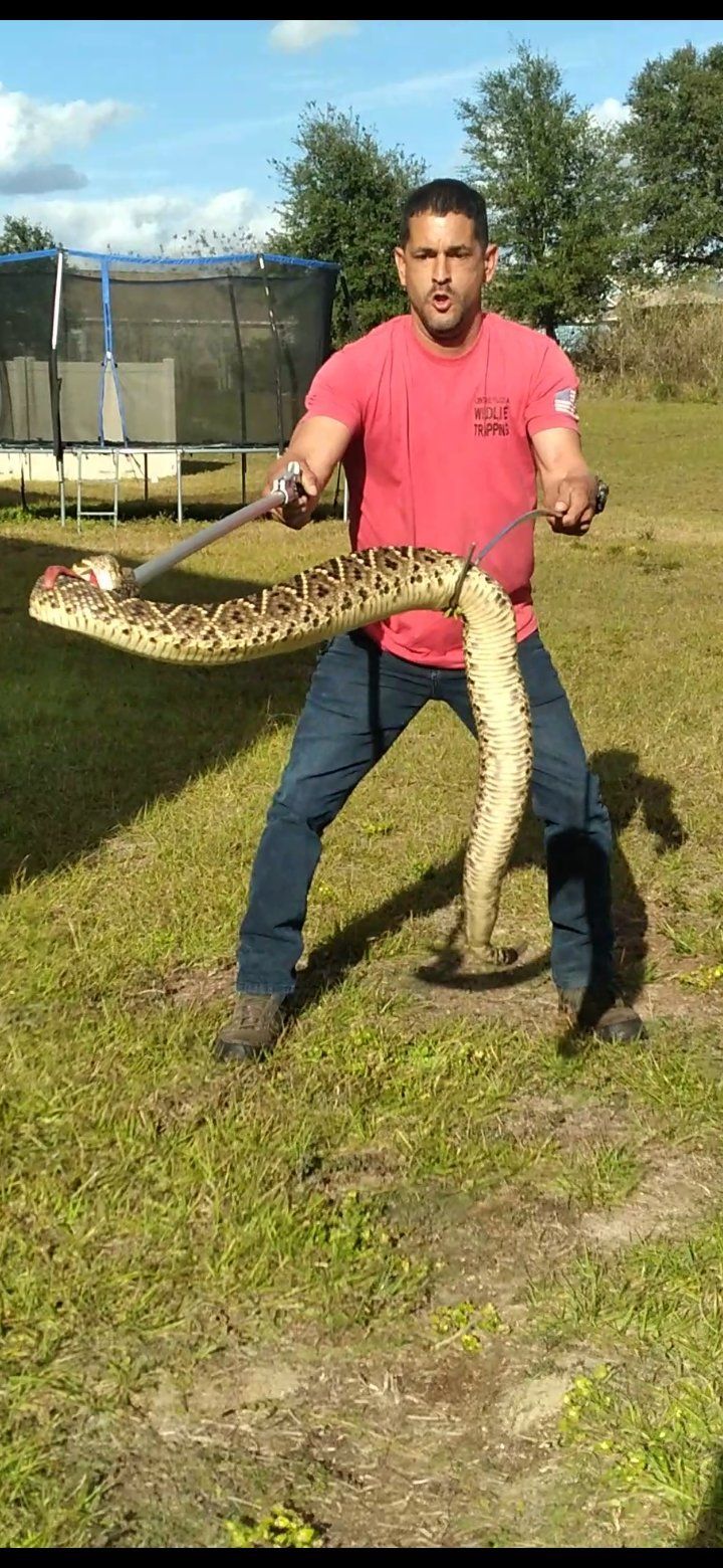 Angel holding a large snake in his hands in a field.