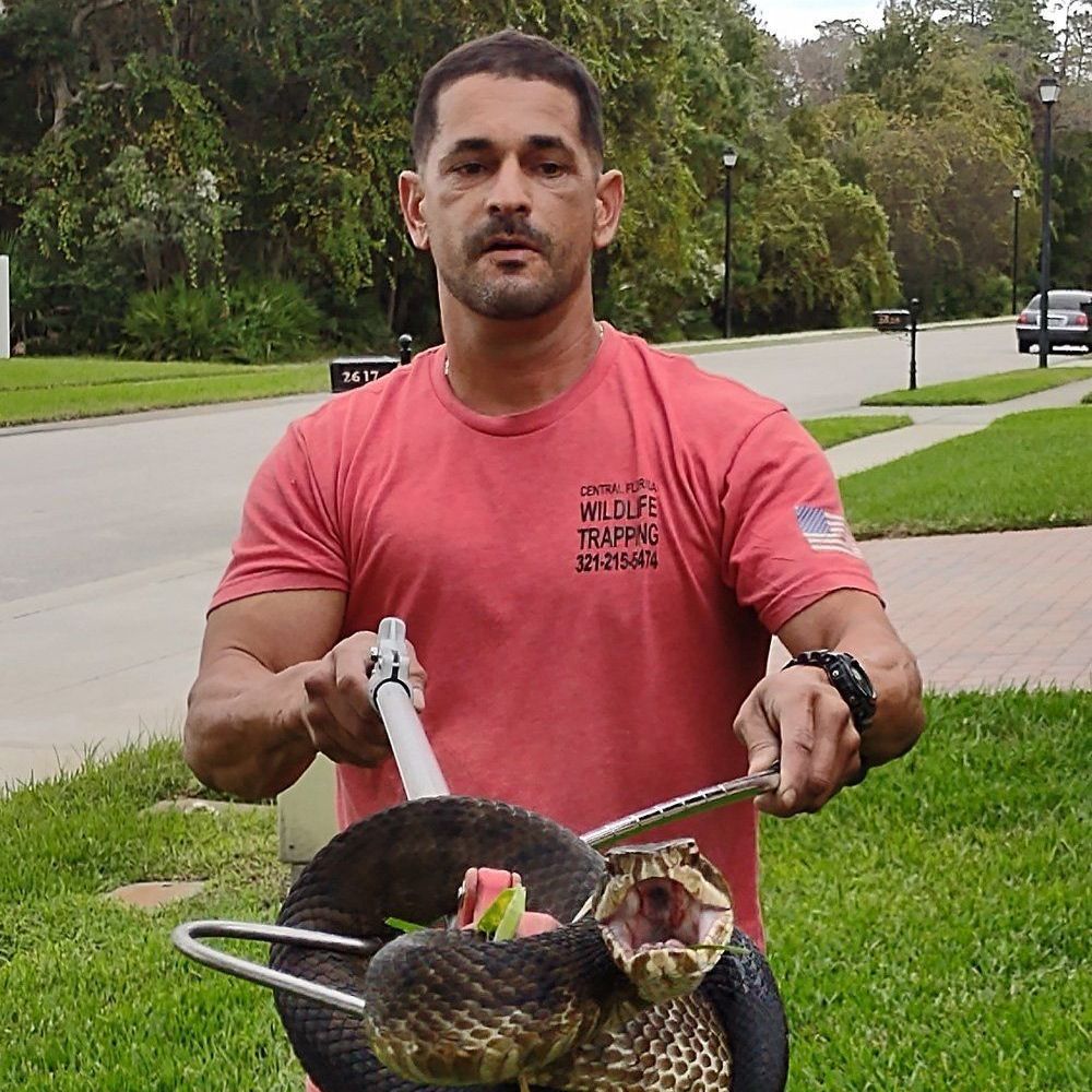 Angel Cortes is holding a snake with its mouth open.