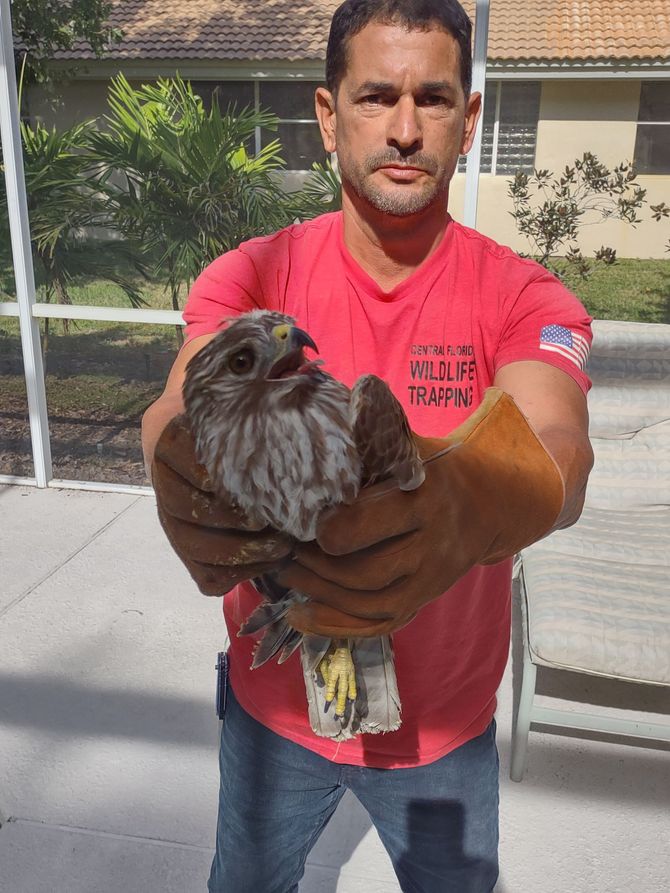 A man in a red shirt is holding a bird