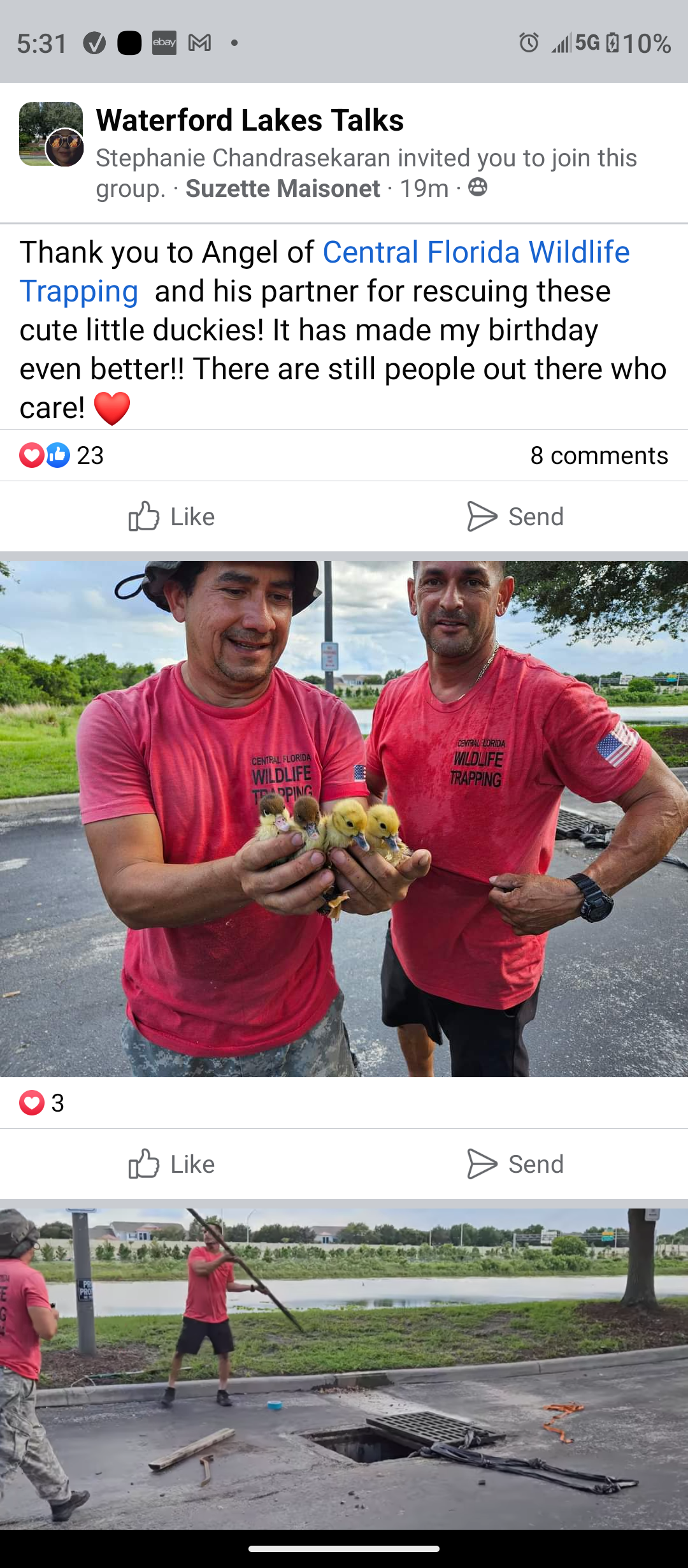 Two men in red shirts are holding ducklings in their hands.