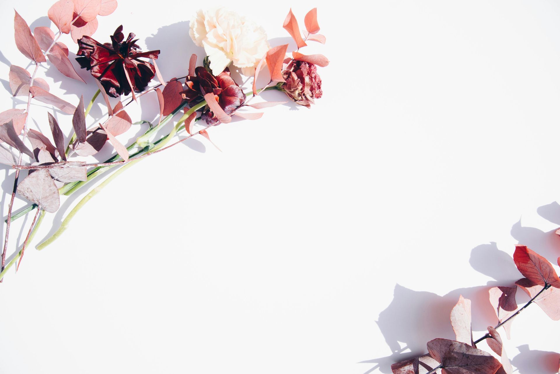 A bunch of pink roses with green leaves on a white background.