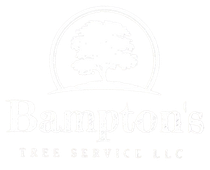 a white logo for a tree service company with a maple tree in a circle . -St. Charles, MO-Bampton Tree Service