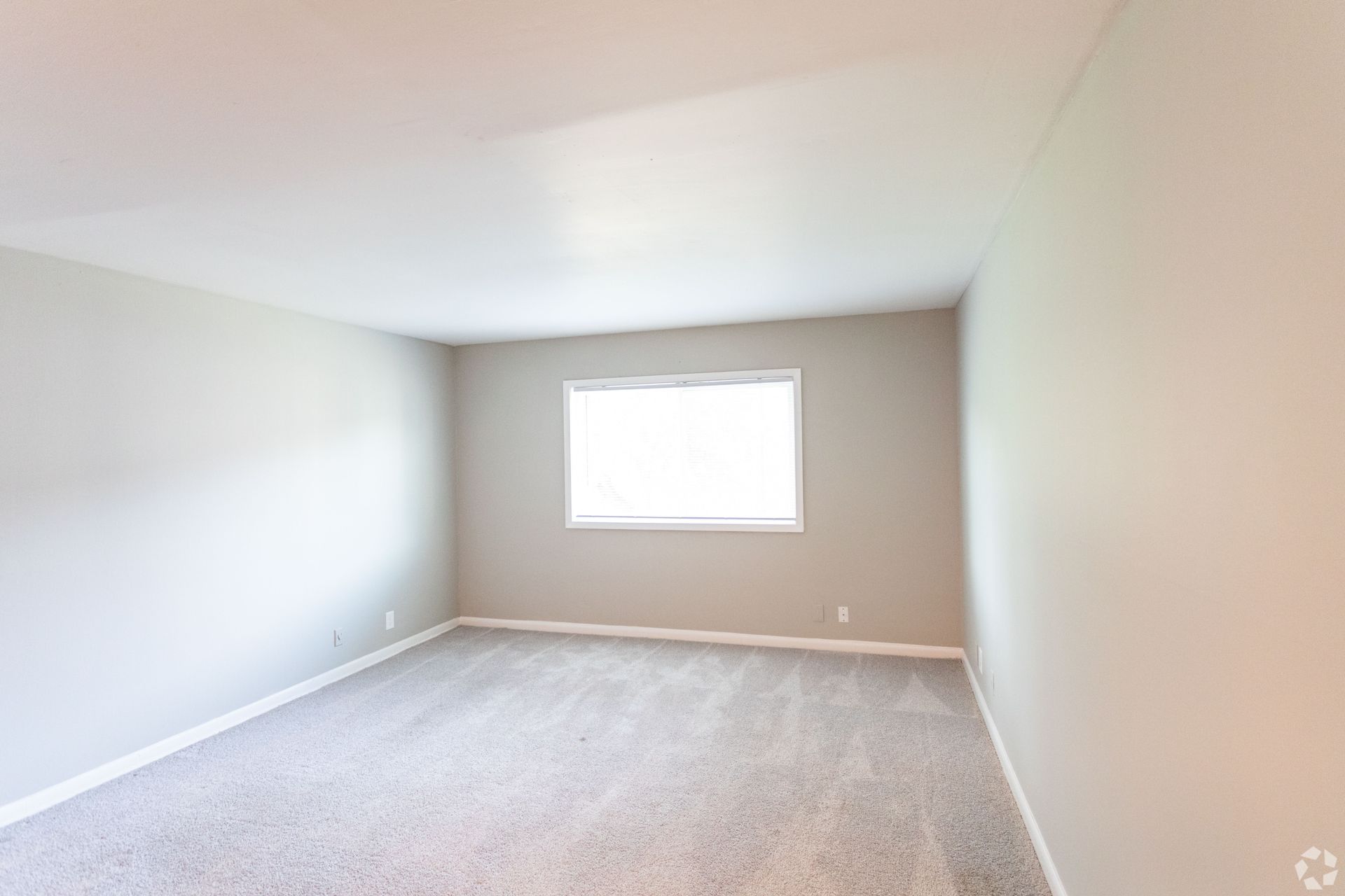 A bright, empty room with light gray walls, plush beige carpeting, and a centered window letting in natural light.