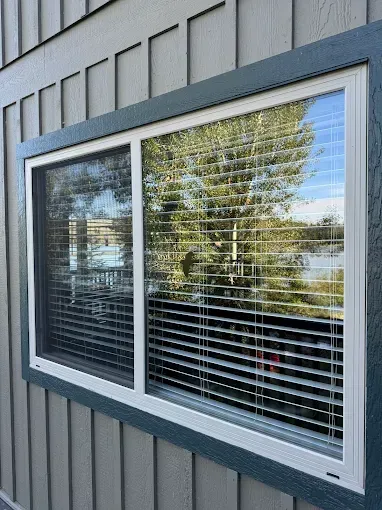Window with blinds reflects a sunny outdoor scene, framed by teal trim and gray siding.