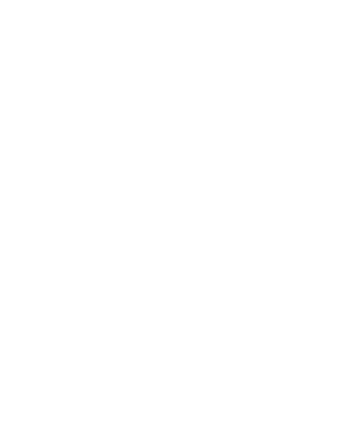 Elite Window Cleaning logo