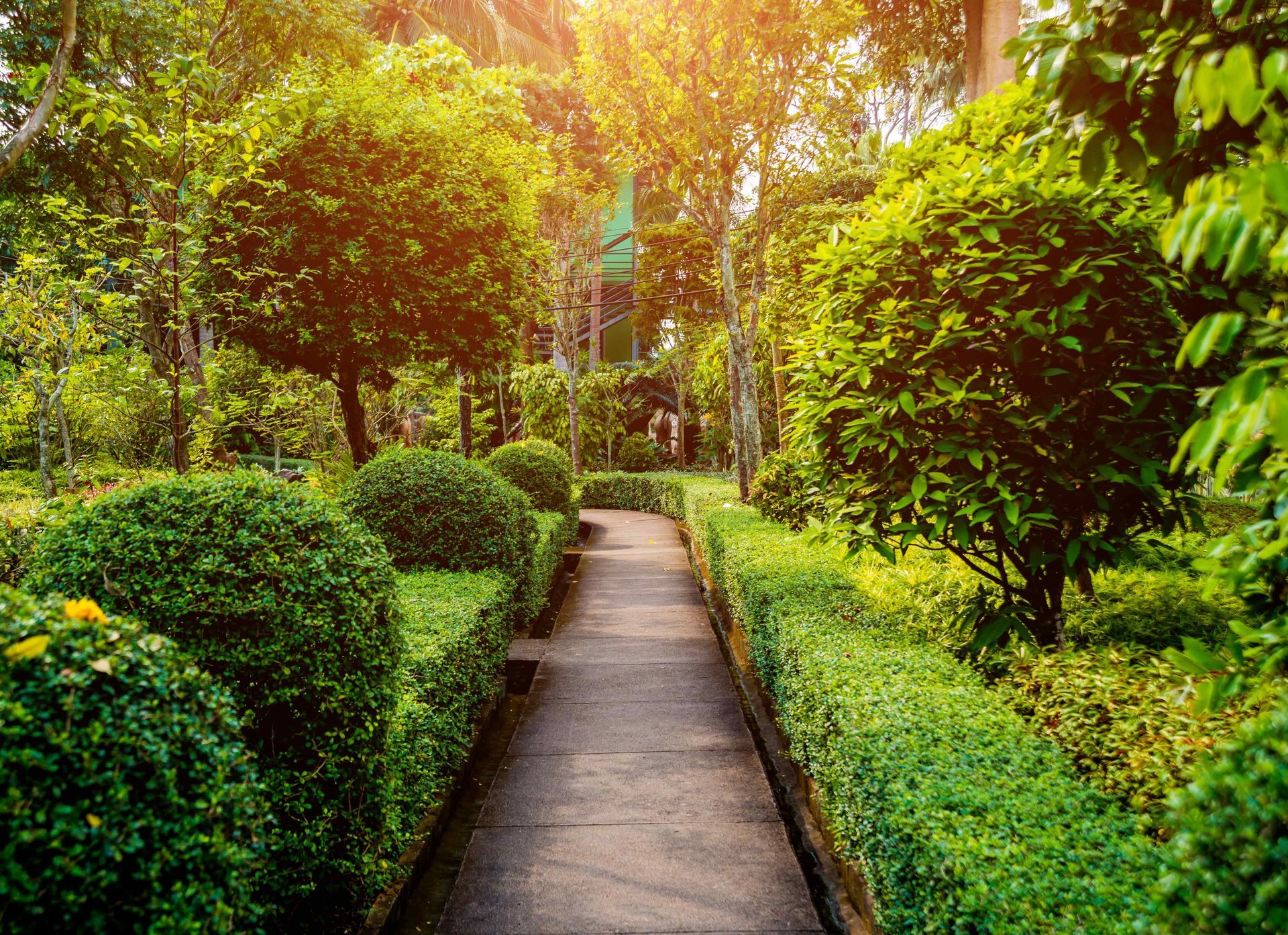 Scenic walkway with shrubs and trees