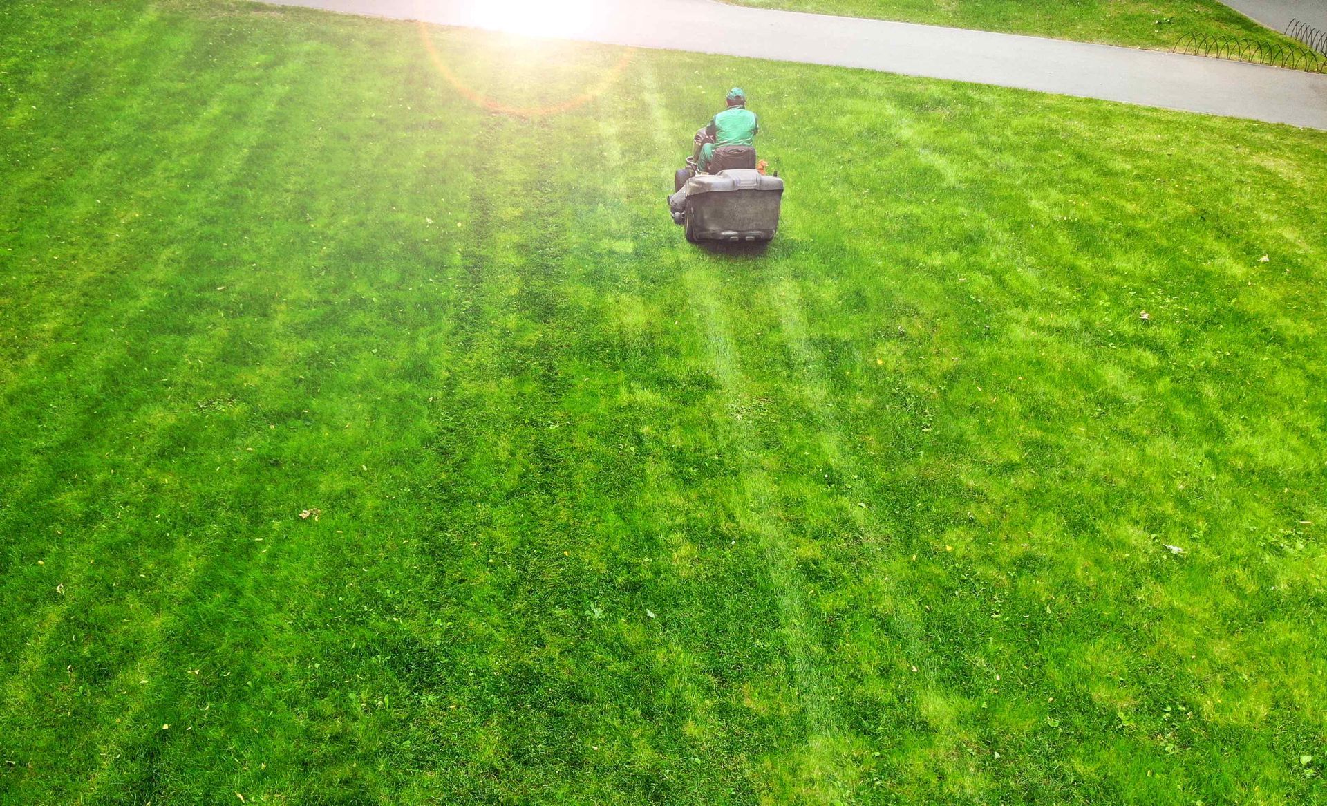Mowing grass with ride on mower