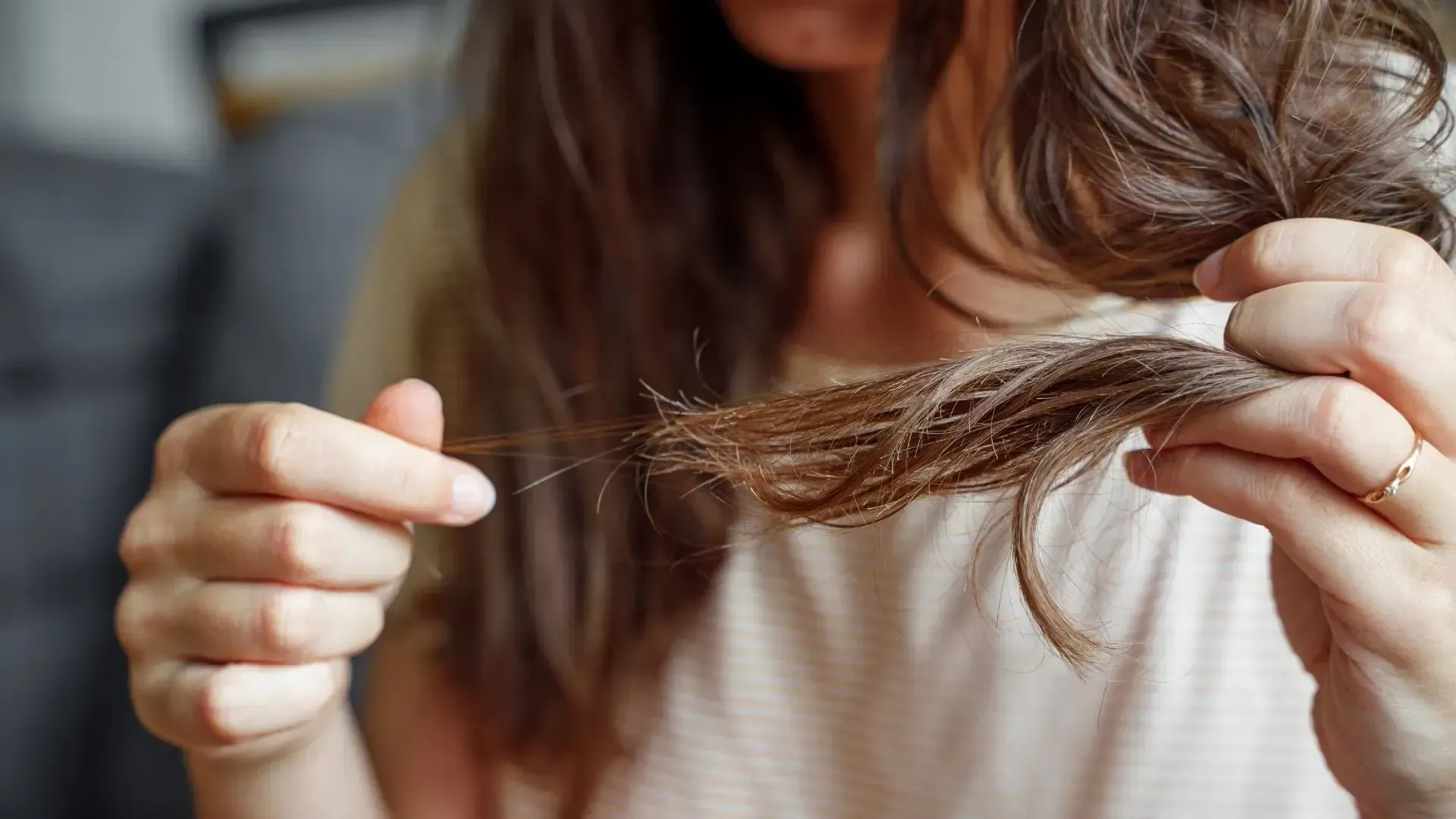 Woman holding a section of damaged brown hair, showing split ends, close up.