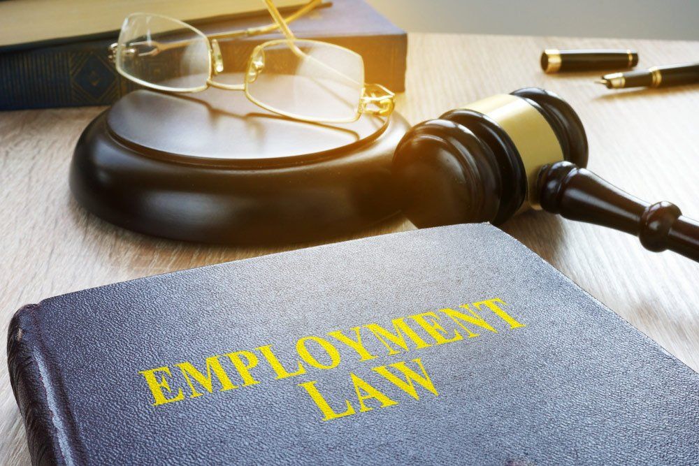 Employment Law in a Court — Unfair Dismissal in Darwin, NT