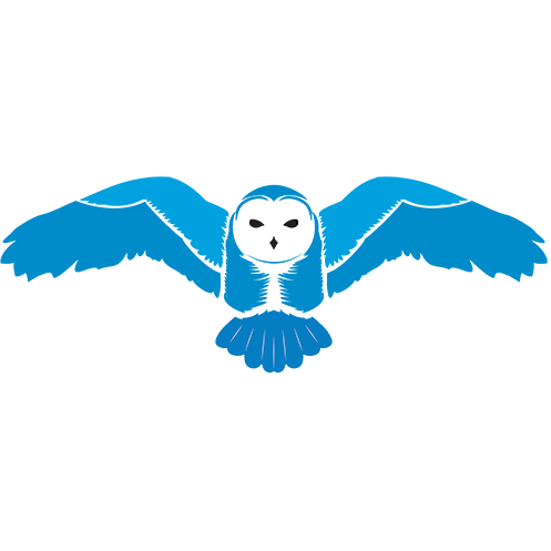 Chouette bleue aux ailes déployées, face blanche, volant sur fond blanc.