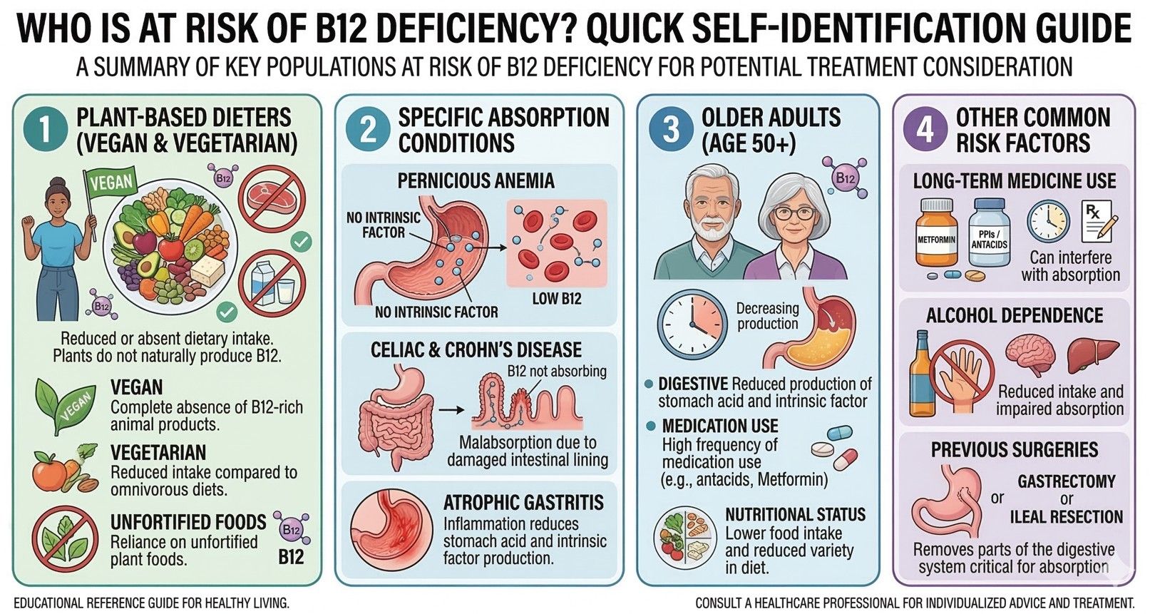 infographic explaining who may be at risk of B12 vitamin deficiency