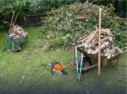 Debris in Leander yard