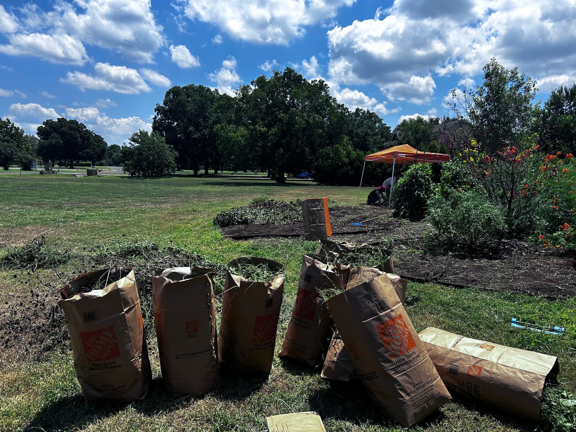 Team of workers cleaning up yard