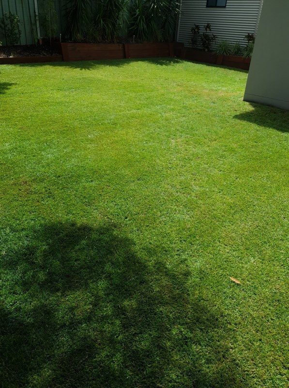 A Lush Green Lawn In A Backyard With A House In The Background — Amaze Lawn and Garden Care In Nelson Bay, NSW