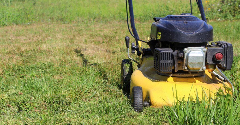 A Yellow Lawn Mower Is Cutting Grass In A Lush Green Field — Amaze Lawn and Garden Care In Salamander Bay, NSW