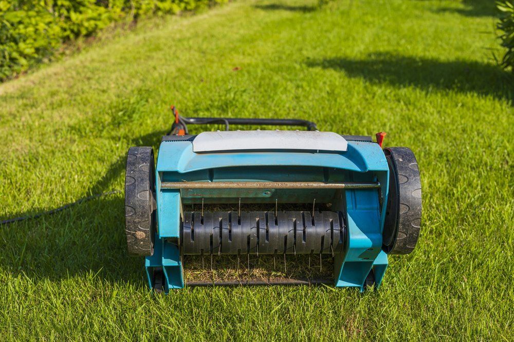 A Blue Lawn Mower Is Sitting On Top Of A Lush Green Lawn — Amaze Lawn and Garden Care In Nelson Bay, NSW