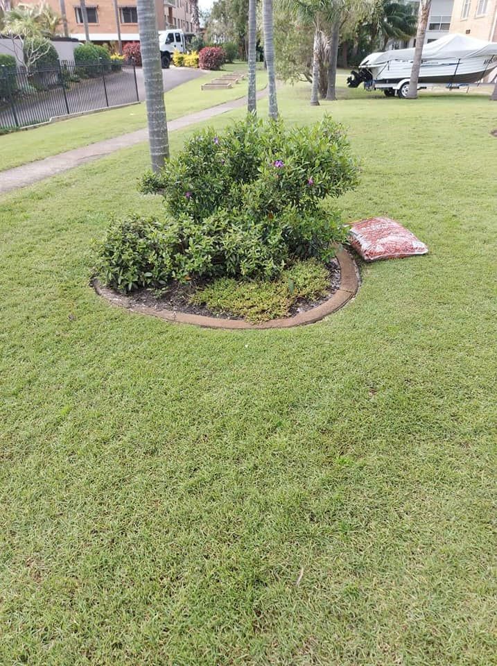 A Small Bush In The Middle Of A Lush Green Lawn Next To A Boat — Amaze Lawn and Garden Care In Nelson Bay, NSW