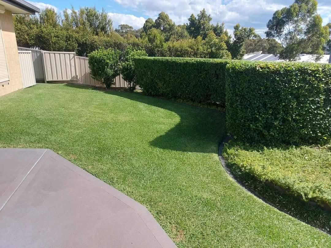 A Lush Green Lawn With A Fence And Trees In The Background — Amaze Lawn and Garden Care In Nelson Bay, NSW