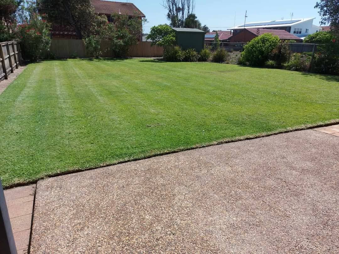 A Lawn in the front of a concrete driveway — Amaze Lawn and Garden Care In Nelson Bay, NSW