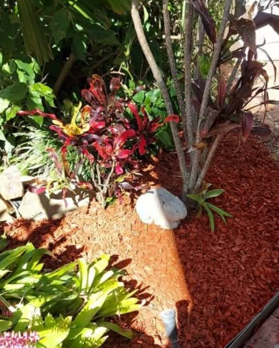 There Are Two Bags Of Leaves And A Rake On The Grass — Amaze Lawn and Garden Care In Nelson Bay, NSW