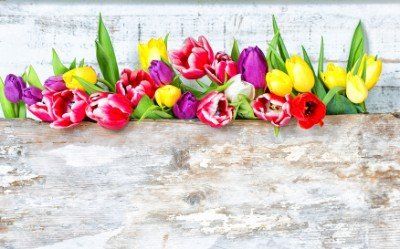 Druckerei Engelbrecht