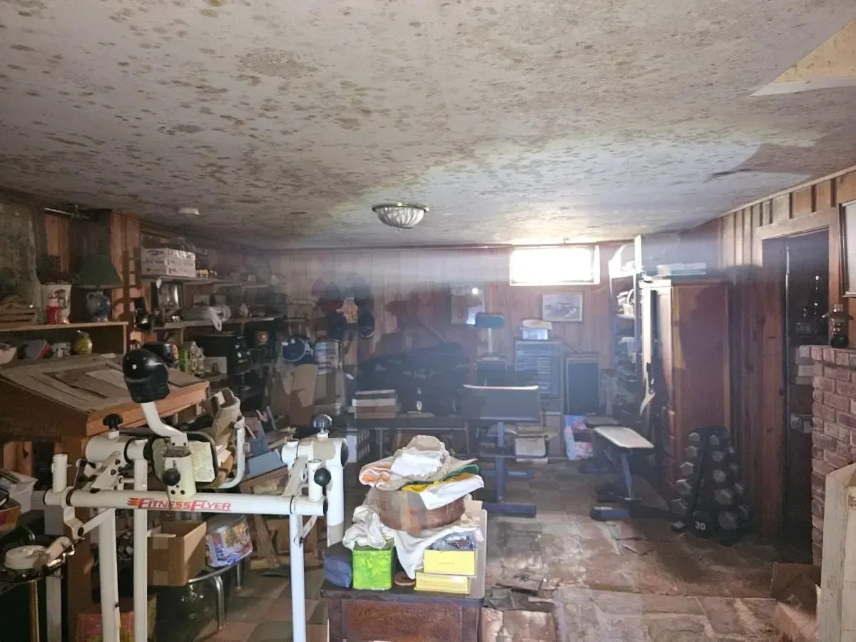 A cluttered basement with visible mold on the ceiling, exercise equipment, and various items stored.