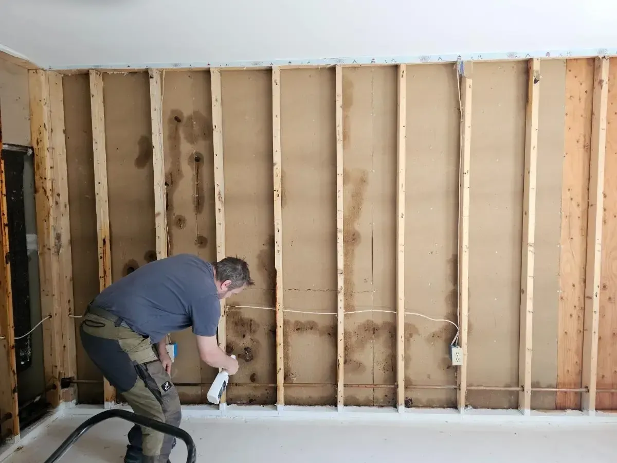 Man spraying white substance on a wall's exposed framing. The wall shows dark staining.
