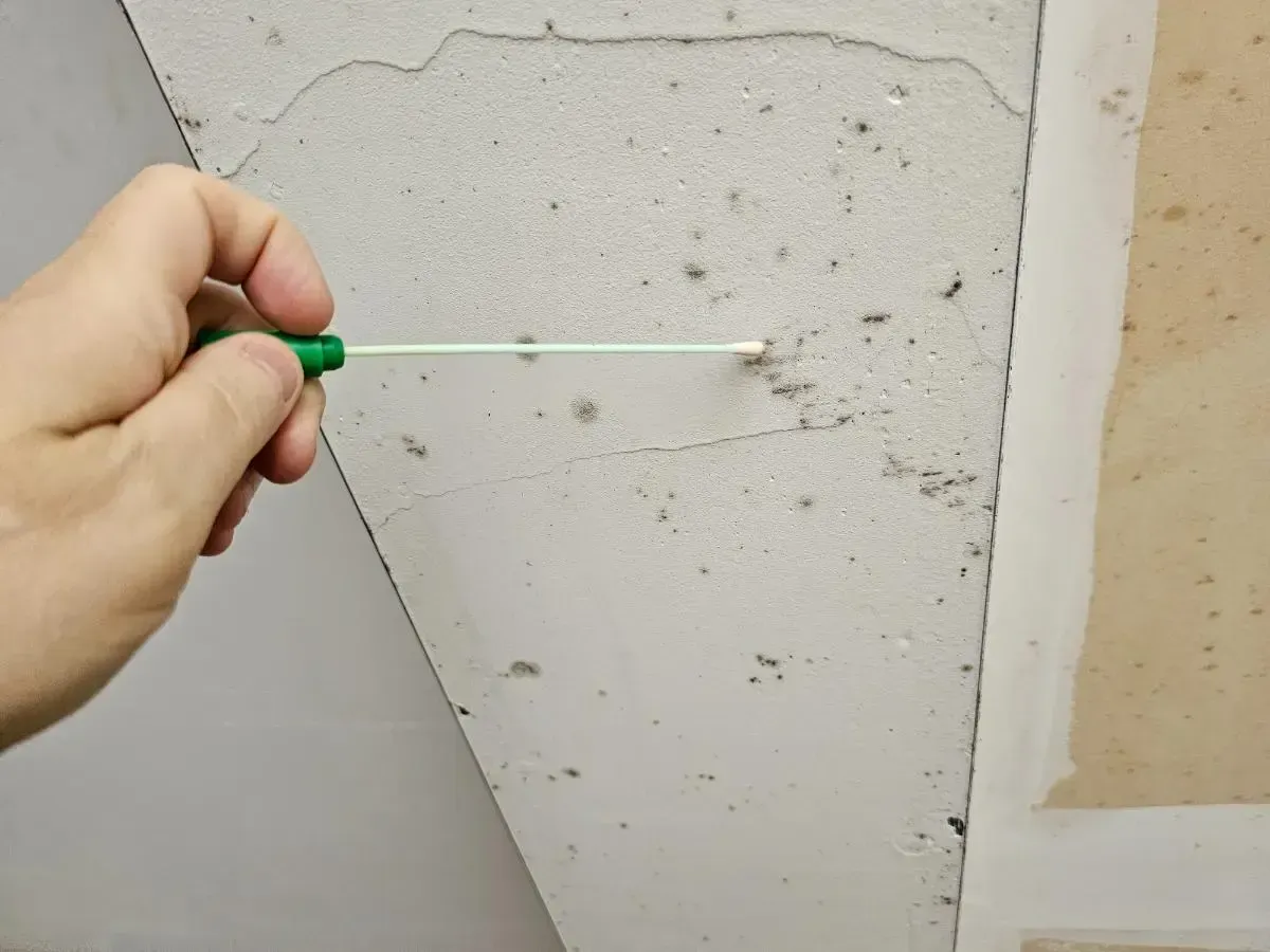 Hand holding a green and white tool pointing at a gray textured wall with visible cracks and damage.